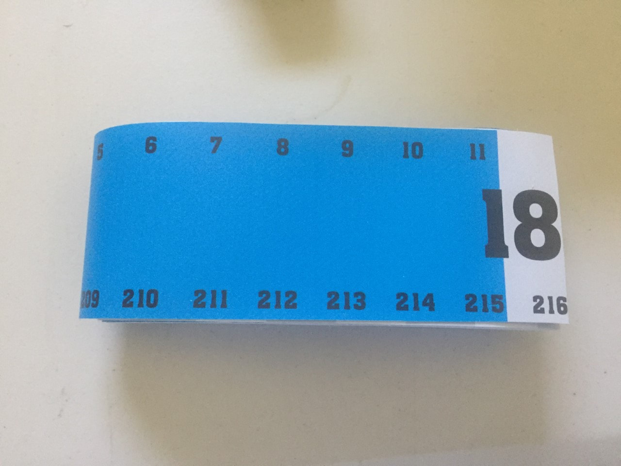 18 foot shark measuring tape