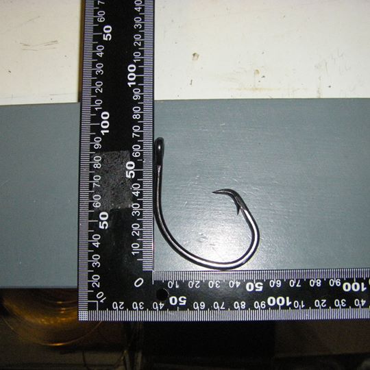How to Measure Hook Size