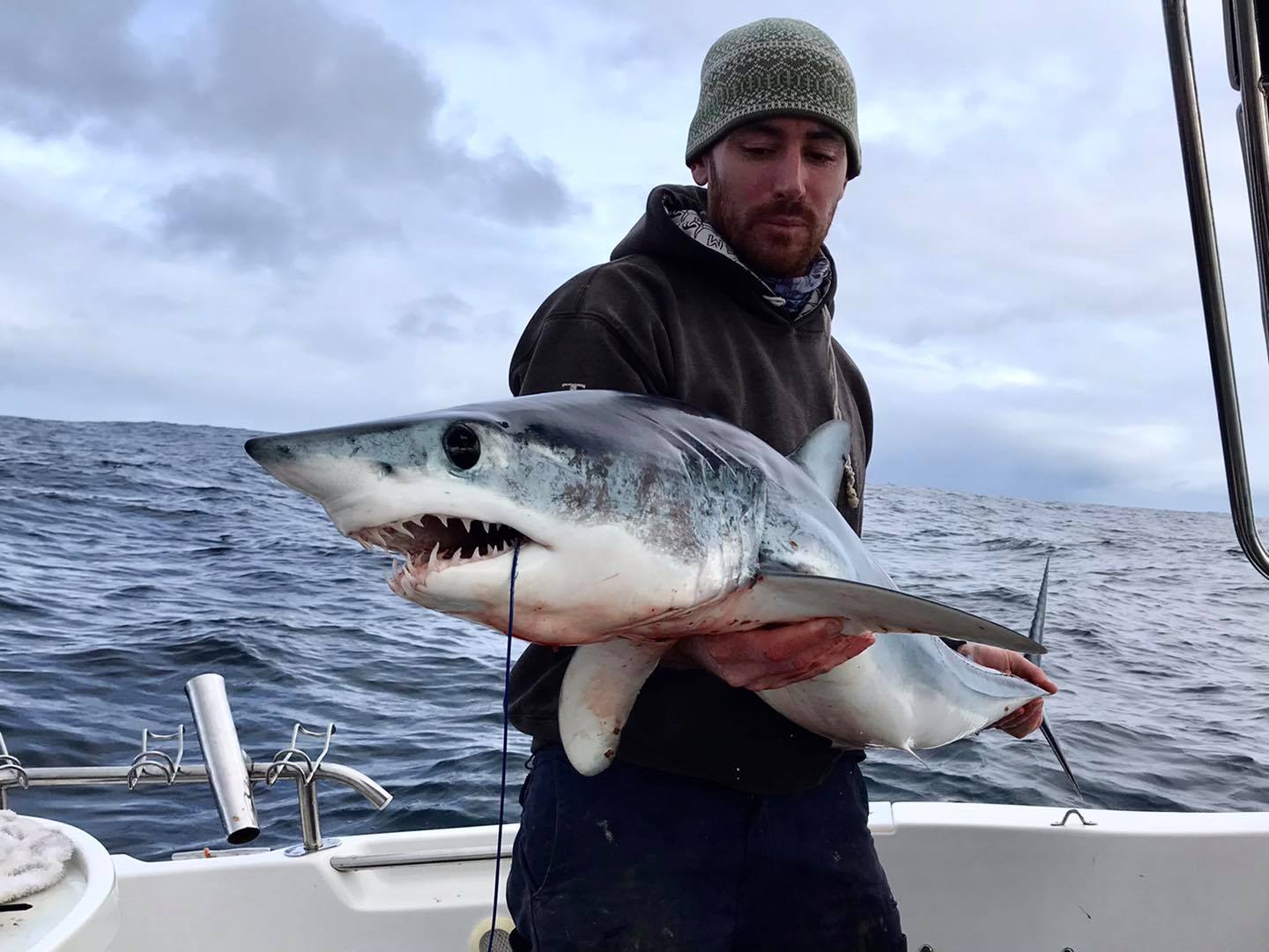 2x Shark rig 98kg [215 lb] coated 316 s/s49 strand wire 14/0 circle hook