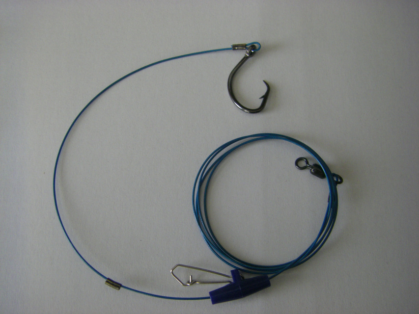 Gummy School Shark Rig